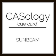 CASology309_logo