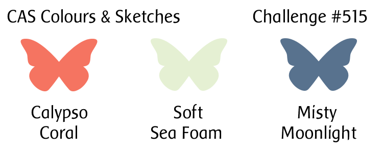 CAS Colours & Sketches #515 – Tinstar Designs