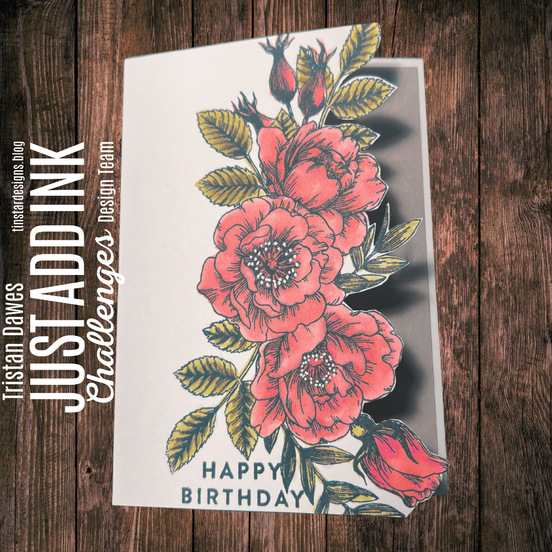 Just Add Ink #705 – Just Add a Fancy Edge – Tinstar Designs